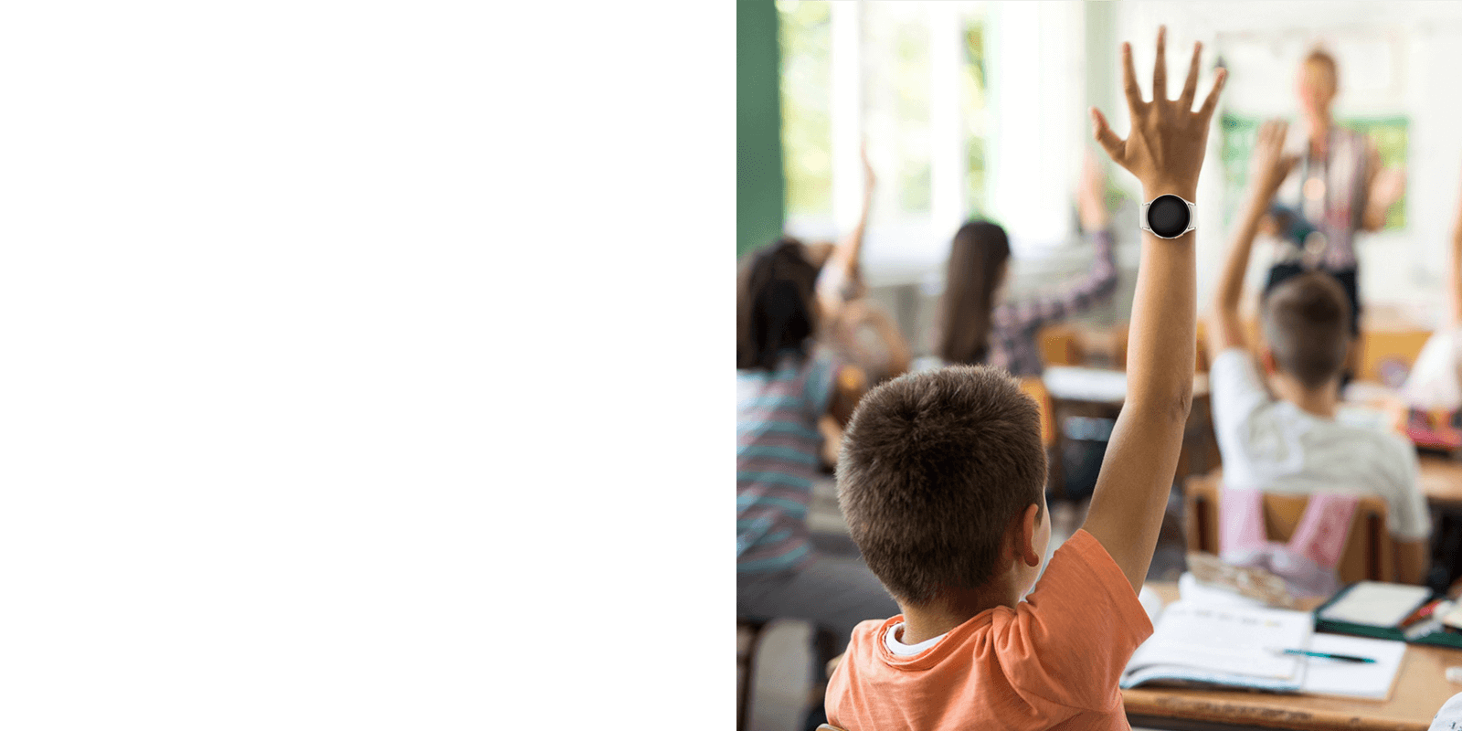 Young student in the classroom. 