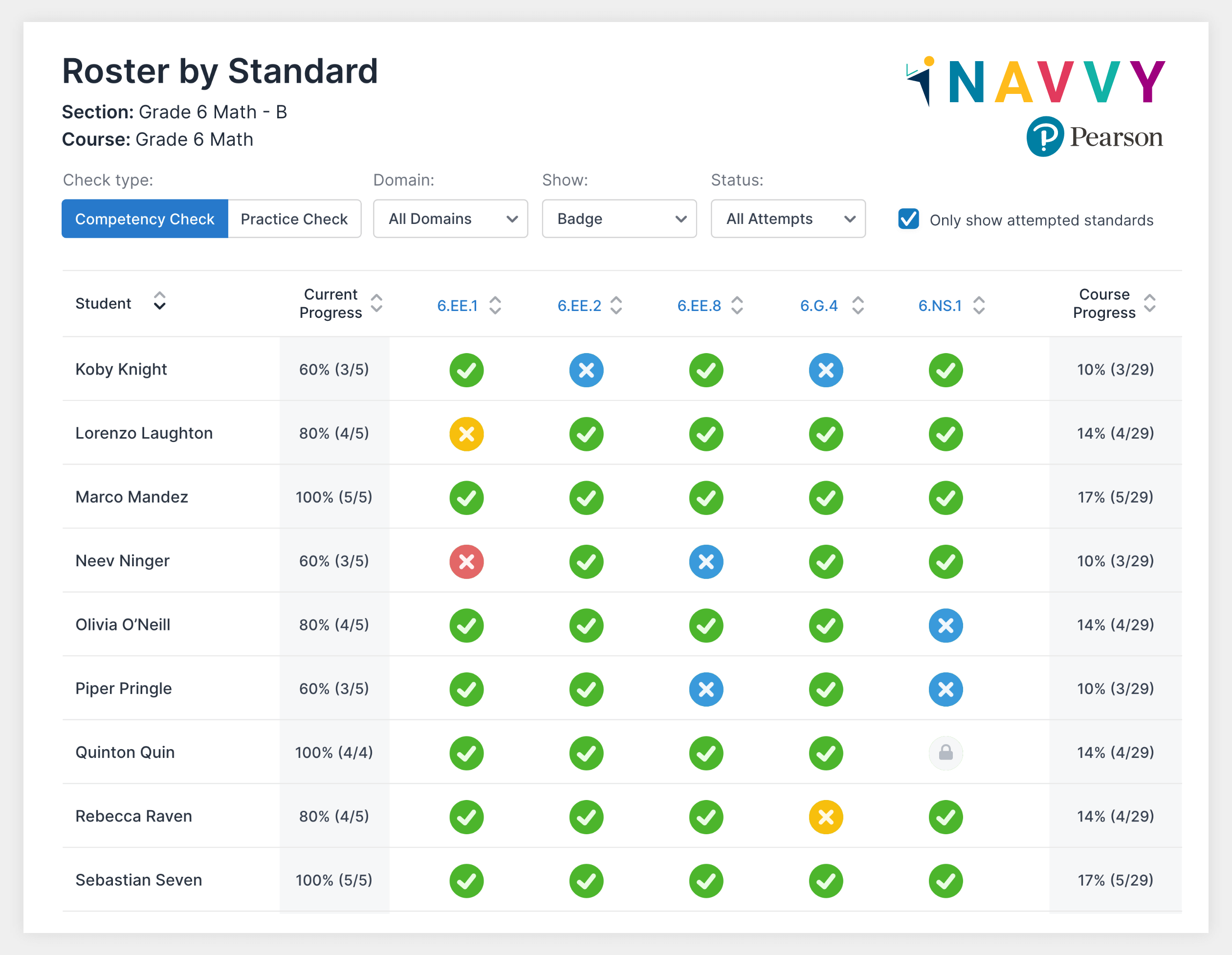 Navvy Standards Competency Report: