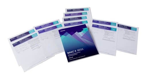 BASC-4 BESS